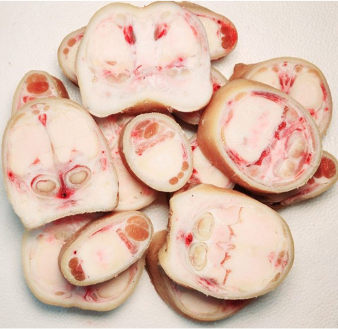 [행복미트] 국내산 소고기 우족 소족 우족탕 곰탕 몸보신탕용 2kg [당일 발송], 1개