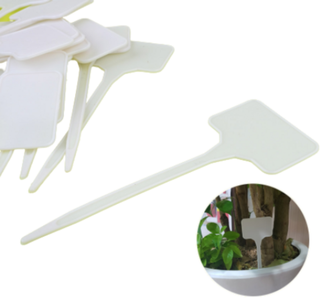 화분 식물 이름표 20P