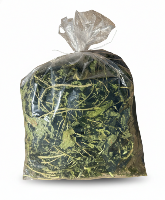 산지직송 올해 수확 국산 햇 시래기 무청 1박스 1kg 고급형 건시래기, 1