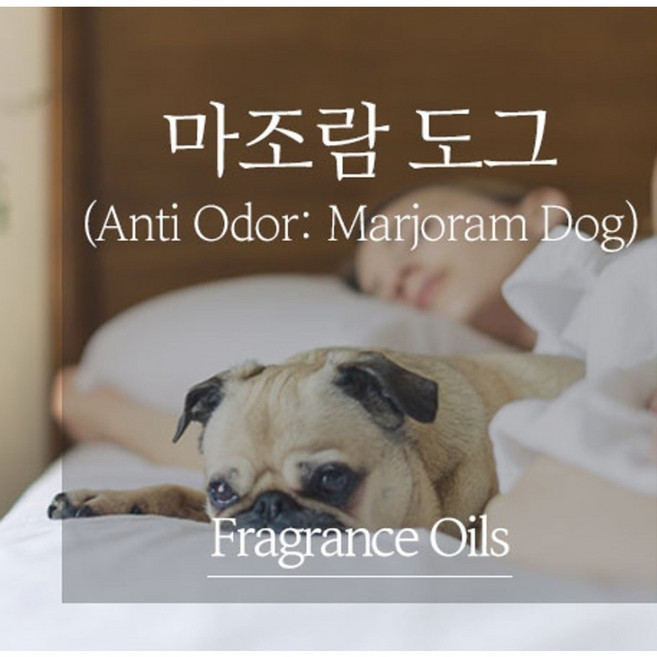 스위스 안티오더 마조람 도그 프레그런스오일, 100ml, 1개