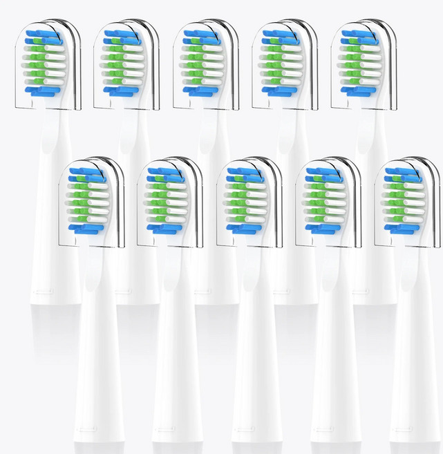 Bitvae D2 전동 칫솔 교체 와 호환 가능 칫솔용 10, 02 10 WHITE