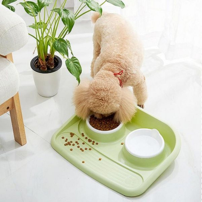 강아지급식기 애완견 밥그릇 물그릇 고양이 2구 식기, 그레이, 1개