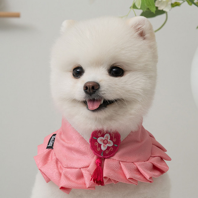 베일리 강아지 반려동물 한복 케이프 스카프, 1개, 소담진달래