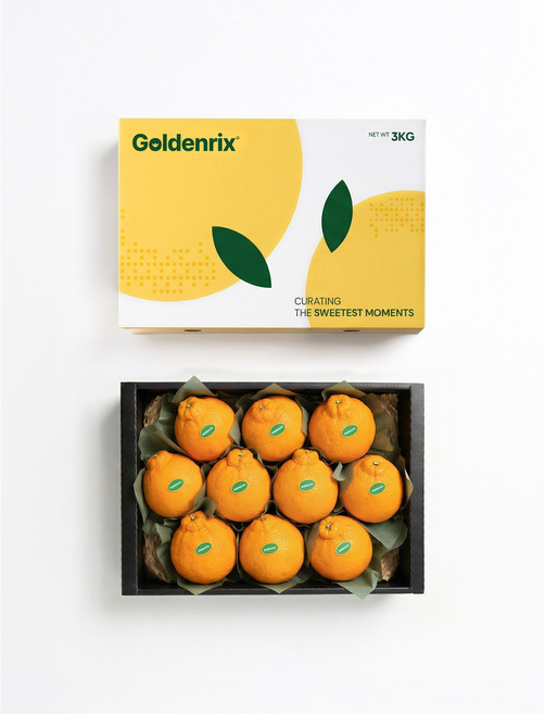 [황금원] 고당도 프리미엄한라봉 (7~11과) 대과 3kg 선물세트/명절선물로 강력 추천, 1박스