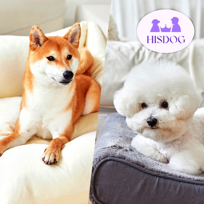 히즈독 강아지 풍기인견 쿨방석 척추침대 차시트 개시트 중형견카시트 쿠션, 쿨그레이, 03.아임쿨방석(커버일체형), 1개