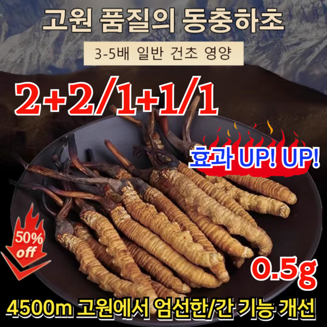 2+2/1+1/1 고급 동충하초 효과 UP! UP! 자연산 동충하초 동충하초 절편 4500m 고원에서 엄선한/간 기능 개선, [3+3]  0.5g