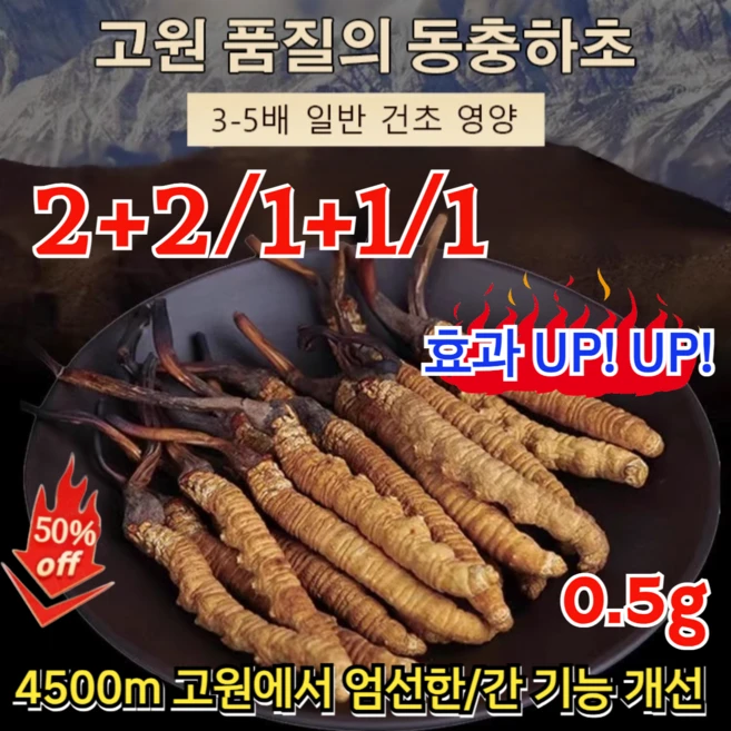2+2/1+1/1 고급 동충하초 효과 UP! UP! 자연산 동충하초 동충하초 절편 4500m 고원에서 엄선한/간 기능 개선, [1+1] 0.5g - 쿠팡