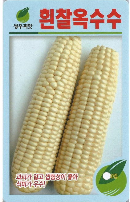 흰찰옥수수씨앗 2000립 백찰 대학찰 옥수수씨앗, 01.대학찰옥수수씨앗 (흰찰) 연농1호, 1개