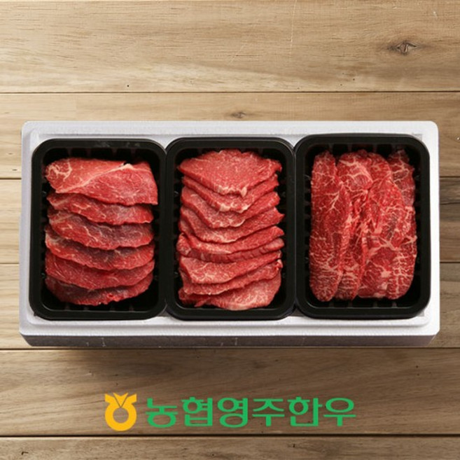 [농협영주한우]1++ 모듬구이 한판 1호 / 총 600g / 모듬구이x3, 없음, 단품없음