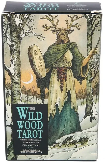 쿠쿠스토어 와일드 우드 타로 78 오라클 영어 비전 점술 에디션 데크 보라드 게임, 01 TC007