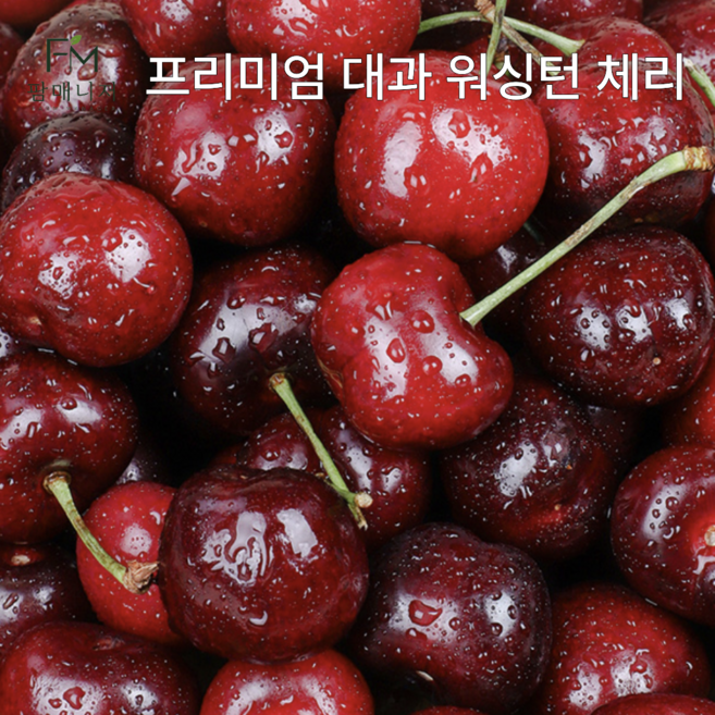 [팜매니저] 프리미엄대과 고당도 미국산 항공직송 워싱턴체리 9.5row, 1개, 500g (9.5row)