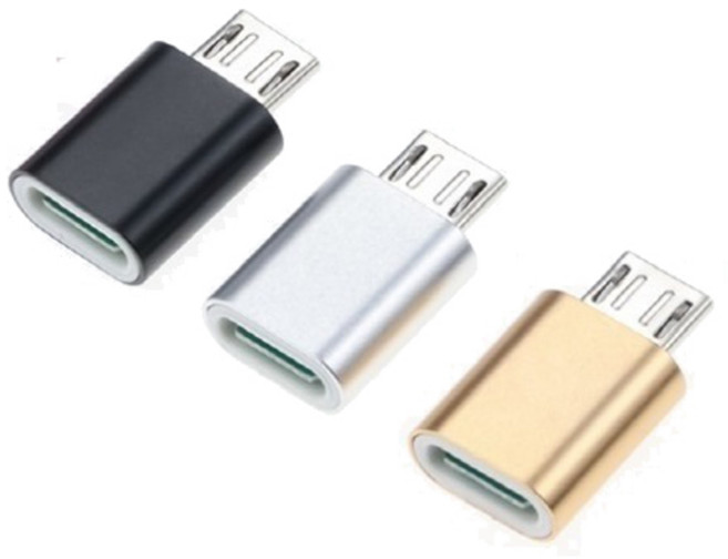 ZIZZY GEN-C5P 메탈 역방향 5핀 변환젠더 C-Type to 5Pin, GEN-C5P 메탈 실버, 1개