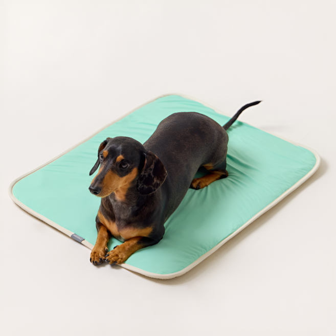엔젤도그 강아지 쿨매트 개어리즘 쿨방석, 민트, 1개