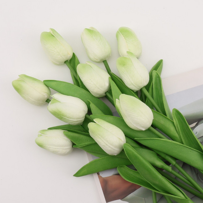 아트오브십 인테리어 튤립 조화 10P 9색상 홈인테리어, 10개, 애플 그린