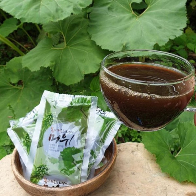 머위진액 국내산 야생 100ml 50팩 100% 머위 추출액 액상차 건강식품 선물세트, 단품, 1개, 5L