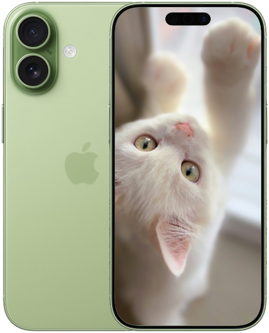 i폰 17 미개봉 새상품, 512GB, 세이지(Sage)