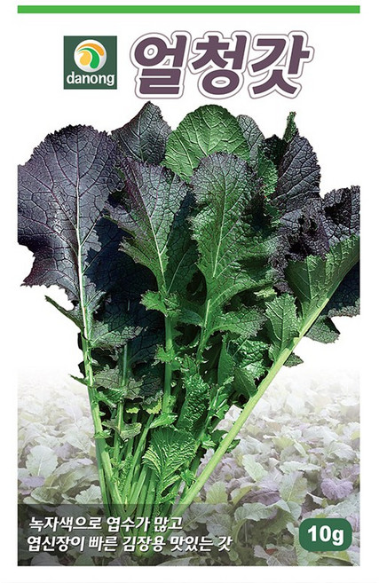 주주씨앗 채소 씨앗 모음 / 상추 쌈채소 유럽상추 치커리 다채 시금치 등, 1개