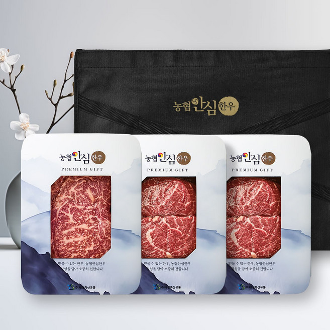 농협안심한우 1+등급 한우 선물세트 7호 등심+국거리+국거리/각300g/총900g, 1세트, 900g