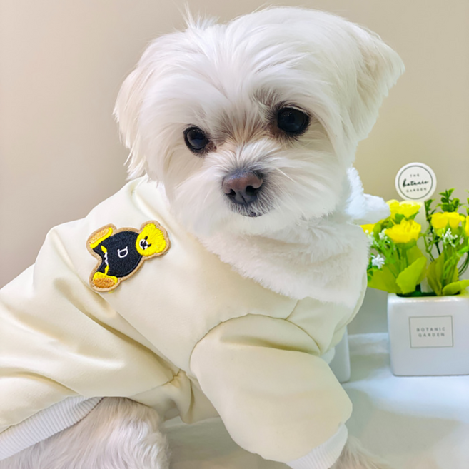 펫티 강아지패딩조끼 강아지패딩하네스 애견방한복, 곰돌이패딩A, 아이보리, 1개