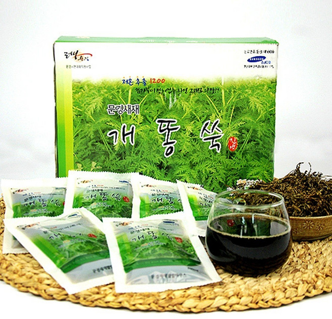 문경새재 개똥쑥 진액 60포 + 사은품(집게) 국산 문경산 개똥쑥 즙 추출액 무참가 부모님 환절기 건강즙 자연 건강식품 명절 추석 어버이날 선물세트, 60개, 100ml