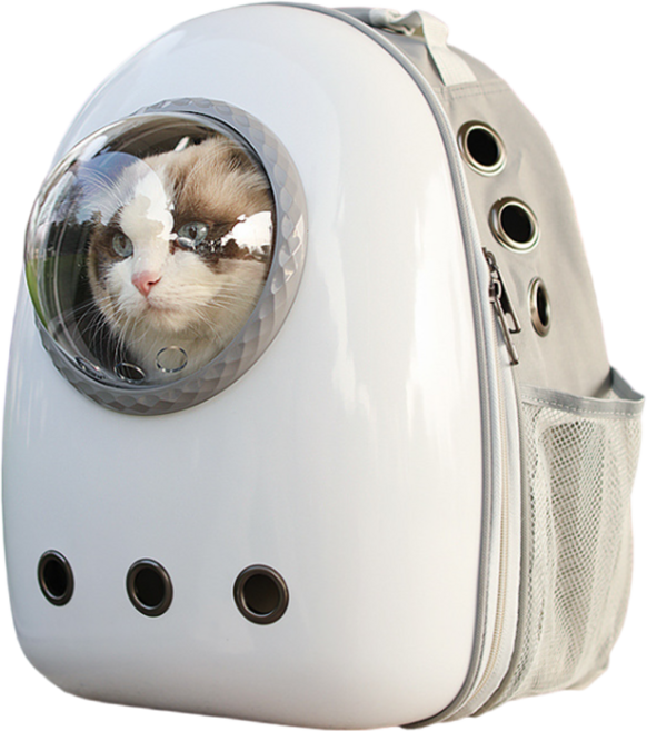 투명 배낭형 강아지 고양이 이동 가방강아지산책가방, 그레이, 1개