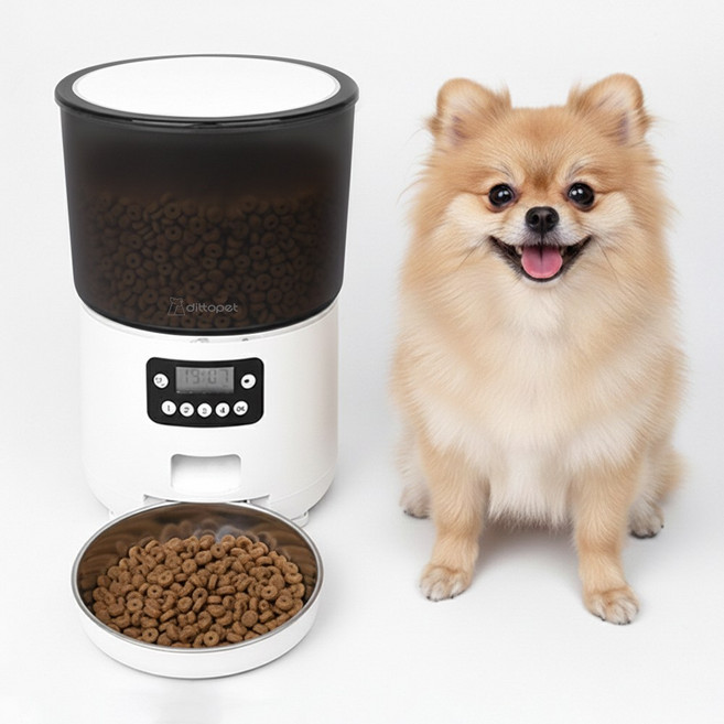 디토펫 반려동물 자동급식기 4L, 1개, 화이트