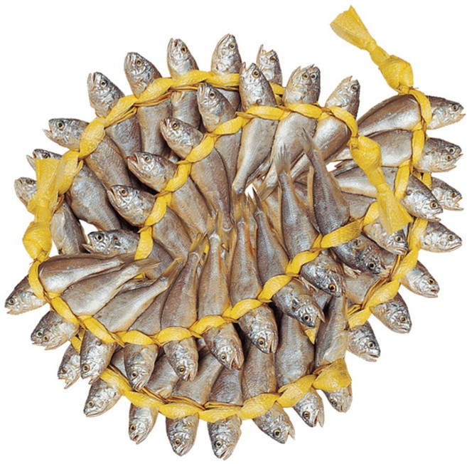 진품명품 영광 법성포 굴비 업소용 대용량 200마리 참조기 봄조기, 1세트, 12kg (장대 4호 10두름 총 200마리)