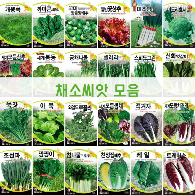 주주씨앗 채소 씨앗 모음전/웰빙 쌈채소/파/배추/루꼴라/상추/양배추/케일/달래/브로콜리/시금치/열무/쑥갓/나물/청경채/모듬/씨앗, 34. 크라우저케일 3g, 1개