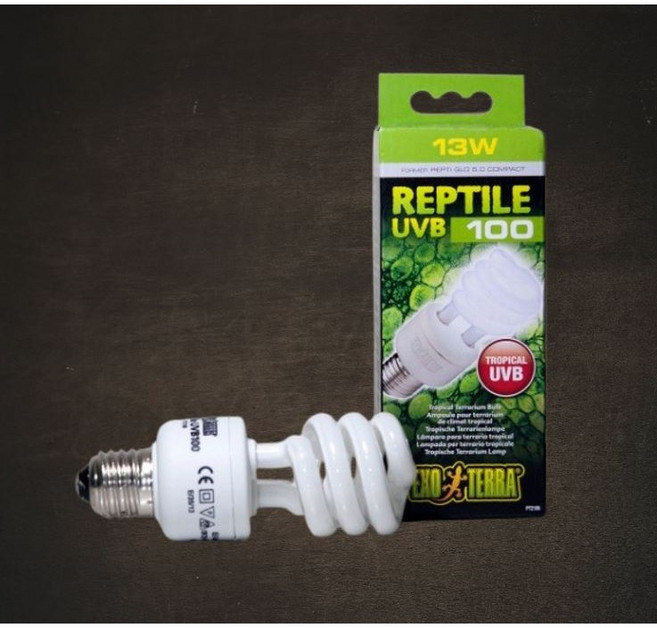 엑소테라 UVB 100 13W 스팟 게코 파충류 거북이조명 할로겐