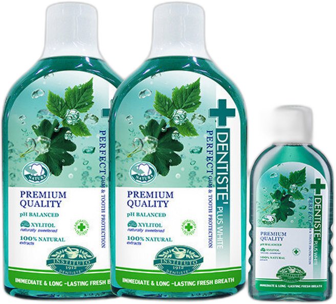 덴티스테 내츄럴 오랄린스 +, 2개, 700ml