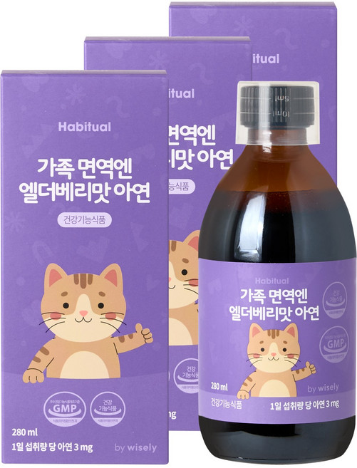 와이즐리 가족면역엔 엘더베리맛 아연, 3개, 280ml