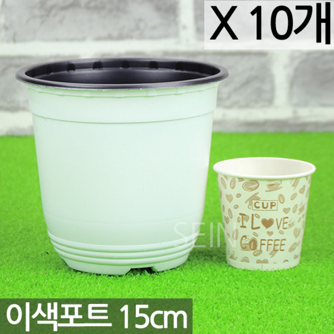 세인화분 국산 화이트 이색포트 화분 10P - 14호 15호 17호, 화이트 이색포트(15호)