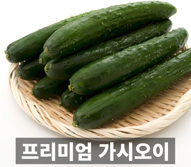 금메달농수산 산지직송 국내산 가시오이, 1박스, 5kg
