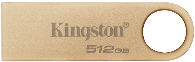 Kingston 金士頓 512G DataTraveler SE9 G3 Type-C USB 3.2 隨身碟 公司貨, 1個, 512GB