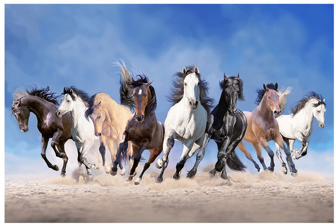 말 그림 팔마도 칠마도 행운 캔버스 액자 사무실 활력 기운 행마도, 04.재물 팔마도