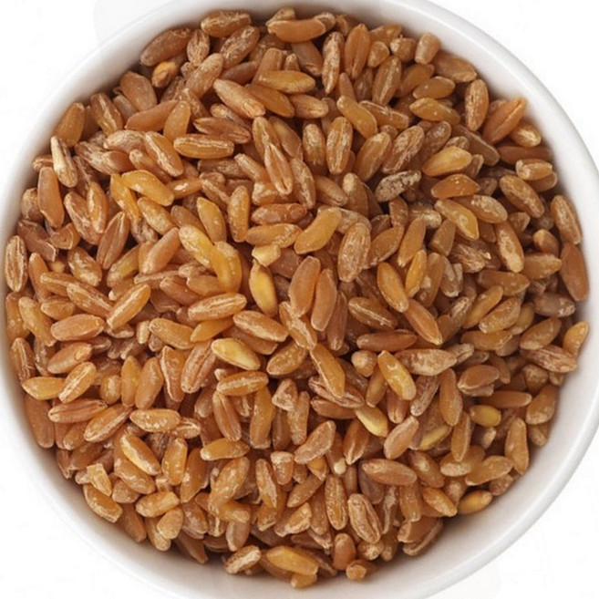 호라산밀 카무트 잡곡 밥용 다이어트 식단 식이섬유 800g, 1개, 1g