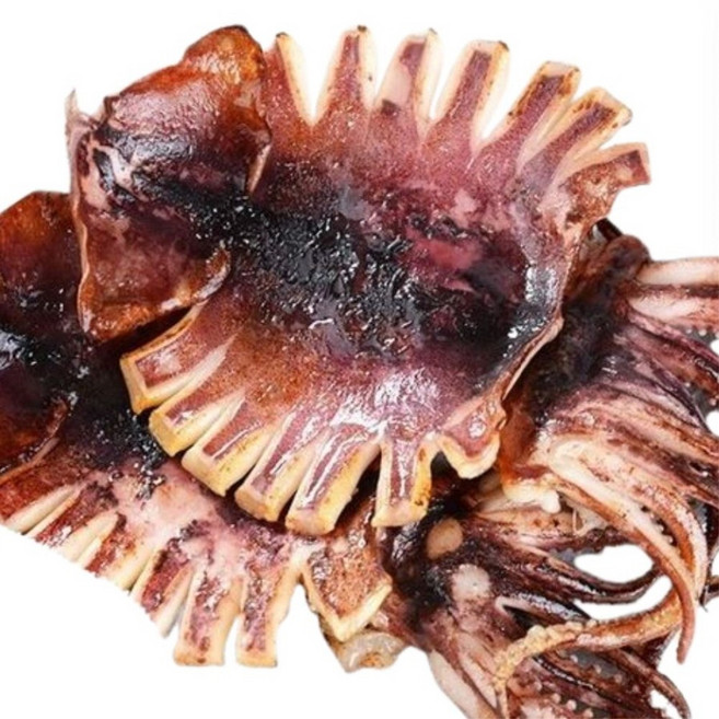 한상직송 국내산 산지직송 동해산 쫄깃촉촉 반건조오징어, 1개, 1.2kg