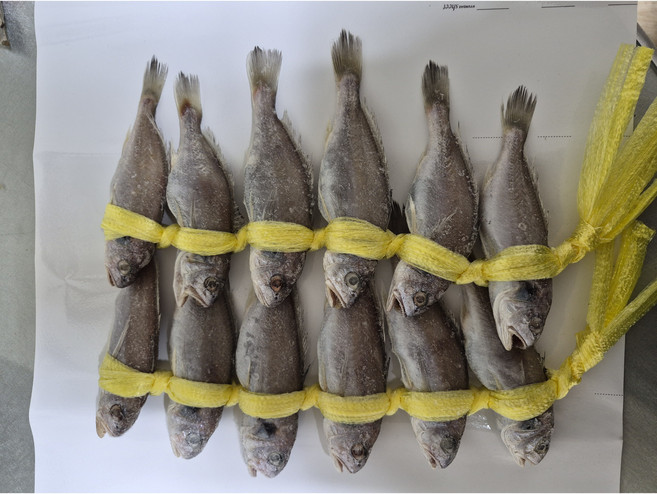 금손월드 백조기 12마리 (1.5kg) 손질 국산 조기 국내산, 1박스, 1.5kg