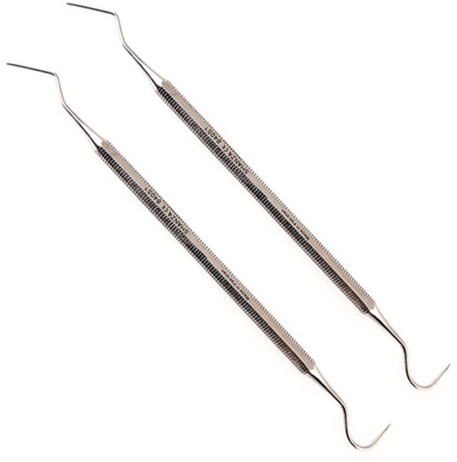 청훈메디 치석제거기 치과용 탐침 의료용품, 2개