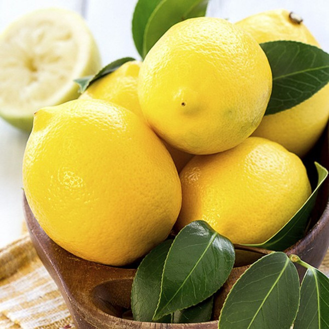 CPL 아로마 메이어 레몬 프래그런스 오일 Yankee Candle Type 500ml