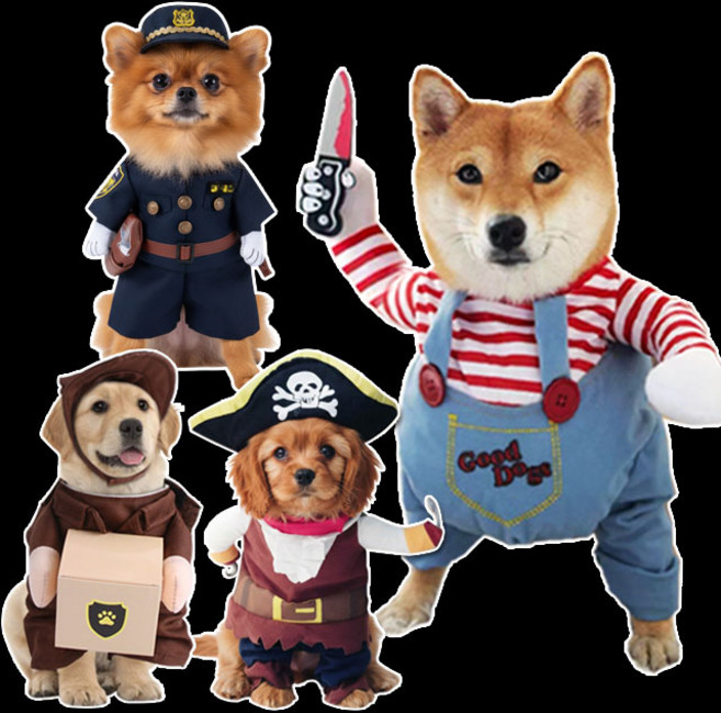 강아지 코스튬 처키옷 외9종 특이한 코스프레 사자탈 웃긴 사자 애견 엽기 의류 포치타, 3-08. 사자머리 L