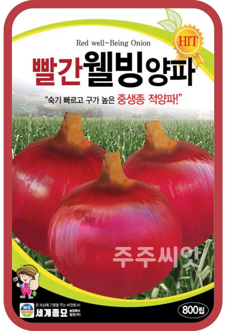 빨간웰빙양파 씨앗 800립 / 적양파 빨강 채소 종자 김장재료 텃밭가꾸기 주말농장, 1개