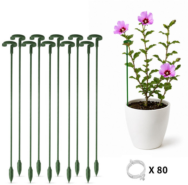 스피세프 화분 식물 지지대 화초고정 줄기 지주대 58cm 고정 클립 포함, 10개