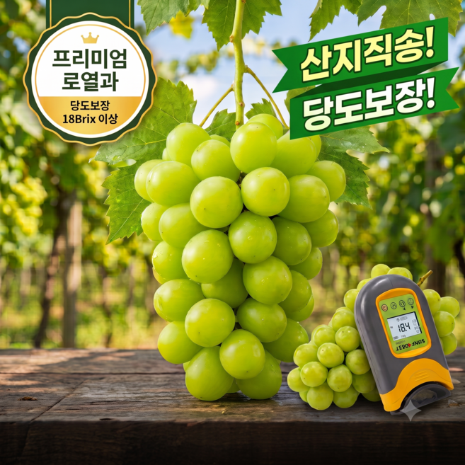 산지직송 고당도 당도선별 명품 샤인머스캣, 1개, 4kg (4수 ~ 5수)