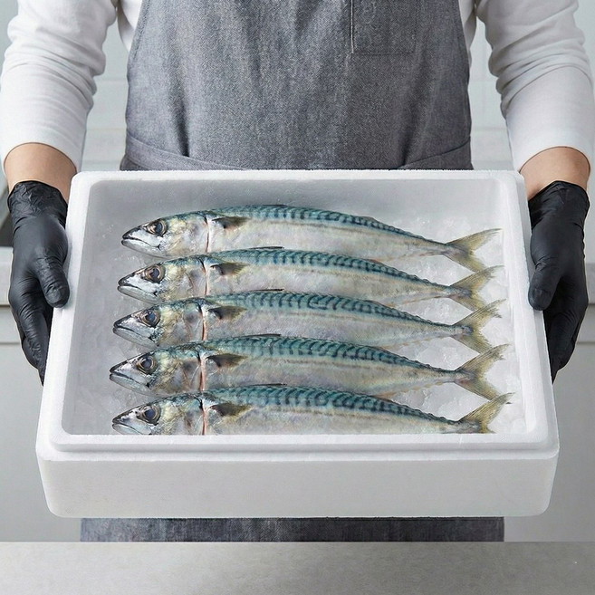 [동아푸드] 부산 자갈치 국산 자반 간고등어 가정용 업소용 10미 5손, 1개, 2.2kg (중)