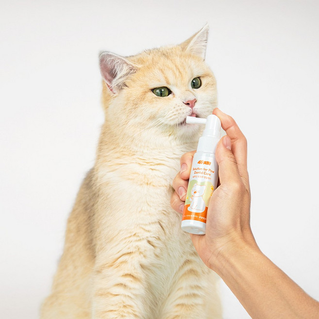 솔루션 포포우 덴탈케어 고양이 구강영양제, 1개, 30ml