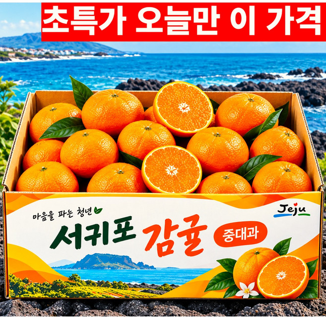엄격선별 산지직송 제주 고당도 노지감귤, 1박스, 5kg (중대과)