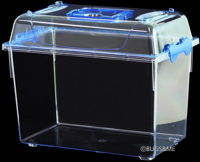 크린블루 사각케이스 특대, 1개