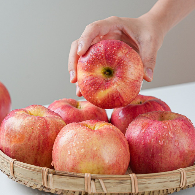 경북 사과 (부사) 산지직송 꿀사과 로얄과 가정용 햇사과, 1박스, 10kg 로얄과(28-36과)