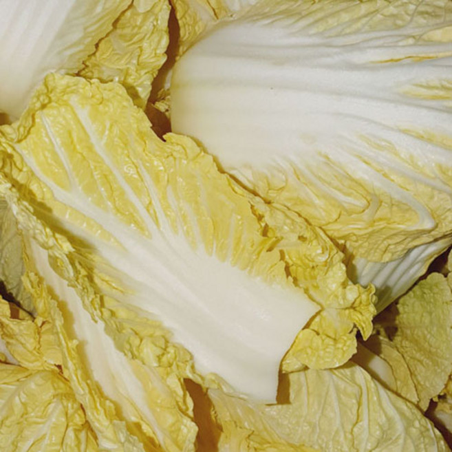 [땅끝파머스] 냉동 속노란 배추우거지 업소용 대용량 10kg (급냉), 10kg(삶고급냉), 1개